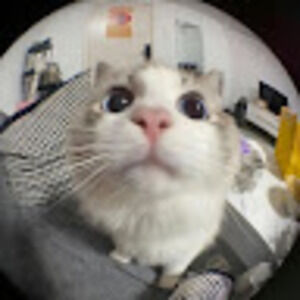 Meet your Posher, Eleni